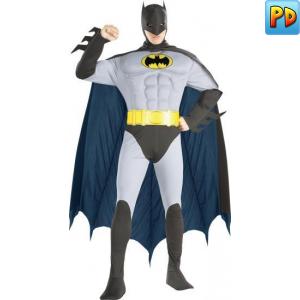 The Batman Fancy Dress Costume