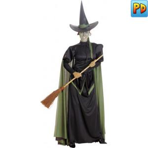 Wicked Witch Costume