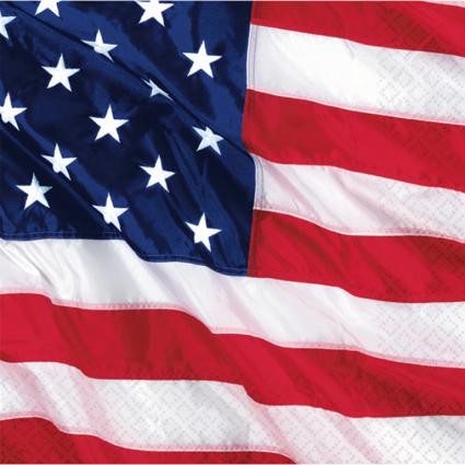 USA Party Supplies
