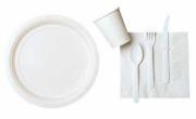 Frosty White Paper Tableware