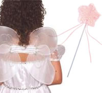 Hen Night Wings & Wands