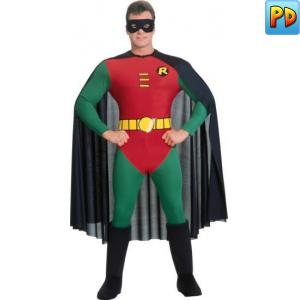 Robin Fancy Dress Costume