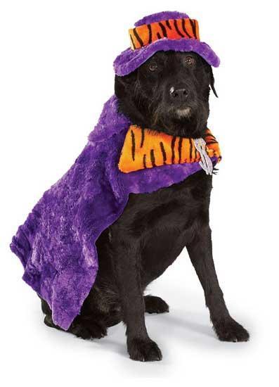 Mac Daddy Pet Costume