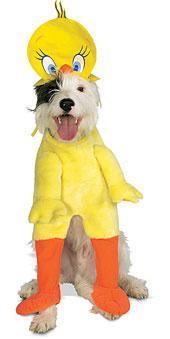 Tweety Bird Pet Costume