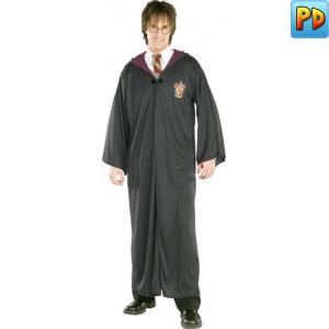 Harry Potter Fancy Dress Costume