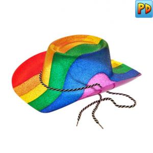 Cowboy Style Glitter Rainbow Hat