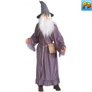 Gandalf Fancy Dress Costume