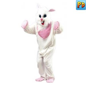 Rabbit Fancy Dress Costume