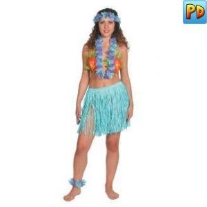 Blue Hawaiian Hula Fancy Dress Kit