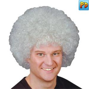 Curly Afro Wig, Grey