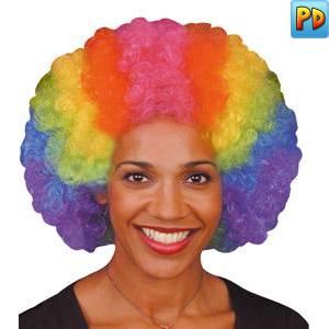 Curly Afro Wig Rainbow