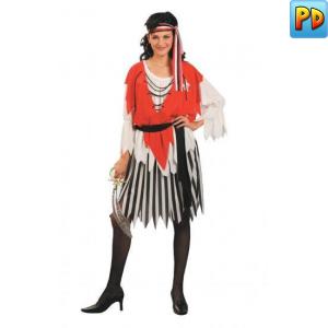 Female Pirate Fancy Dress Costume