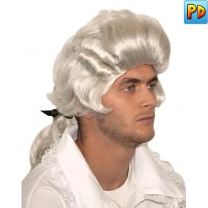 Court Style Wig, White