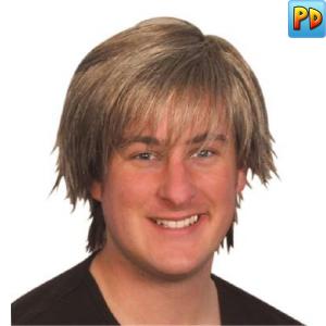 Boy Band Wig, Brown/Blonde