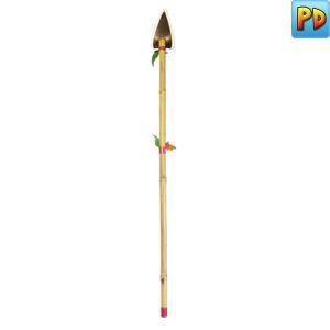 Indian Feather Spear
