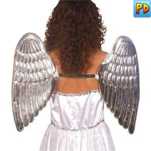 Silver Wings, Large