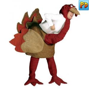 Turkey Costume