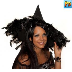 Witch Hat with Feather Trim