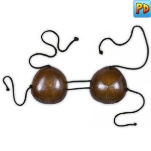 Coconut Shell Bra