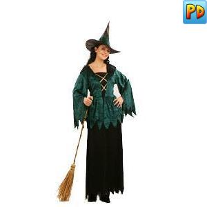 Gothic Witch Fancy Dress Costume