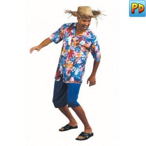Hawaiian Fancy Dress Costume