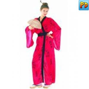 Geisha Fancy Dress Costume
