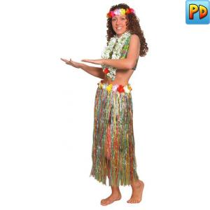 Hawaiian Grass Hula Skirt, Multi Coloured