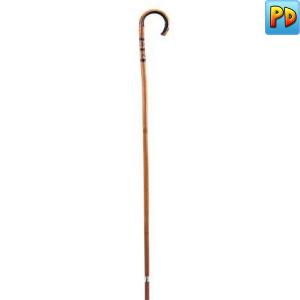 Bamboo Cane