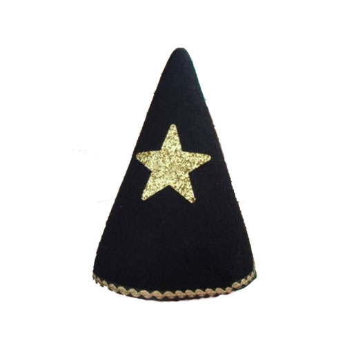 Wizard/Magician Hat