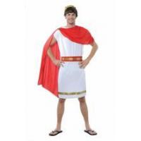Caesar Fancy Dress Costume