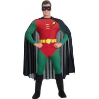 Robin Fancy Dress Costume