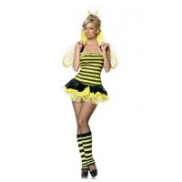 Queen Bumble Bee Fancy Dress Costume
