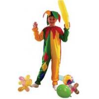 Colourful Jester Fancy Dress Costume