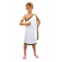 Caesar Toga Fancy Dress Costume