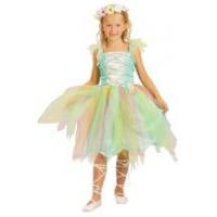 Fairy Fancy Dress Costume