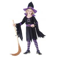 Glamour Witch Fancy Dress Costume
