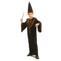Wizard Fancy Dress Costume