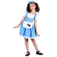 Fairtytale Girl Fancy Dress Costume