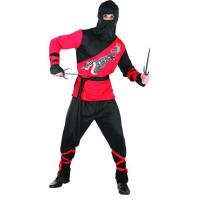 Dragon Ninja Fancy Dress Costume