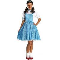 Dorothy Fancy Dress Costume