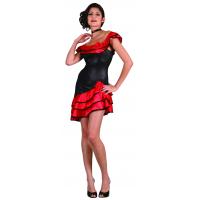 Spanish Lady Fancy Dress Costume