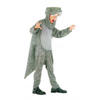 Dinosaur Fancy Dress Costume