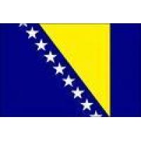 Bosnia and Herzegovina Paper Flag