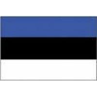 Estonia Paper Flag