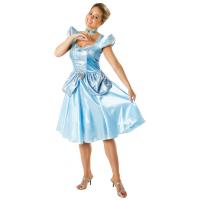 Cinderella Fancy Dress Costume