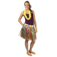 Multi Coloured Grass Skirt  with Flower Band