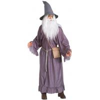 Gandalf Fancy Dress Costume