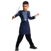 Thorin Blister Fancy Dress Costume