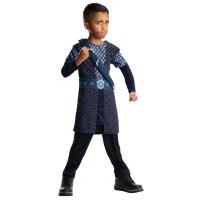 Classic Thorin Fancy Dress Costume