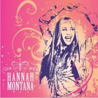 Hannah Montana Lunch Napkins